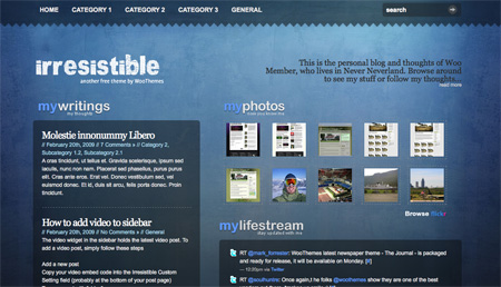 wp27theme03
